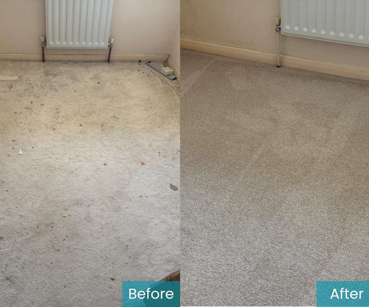 Carpet Cleaning